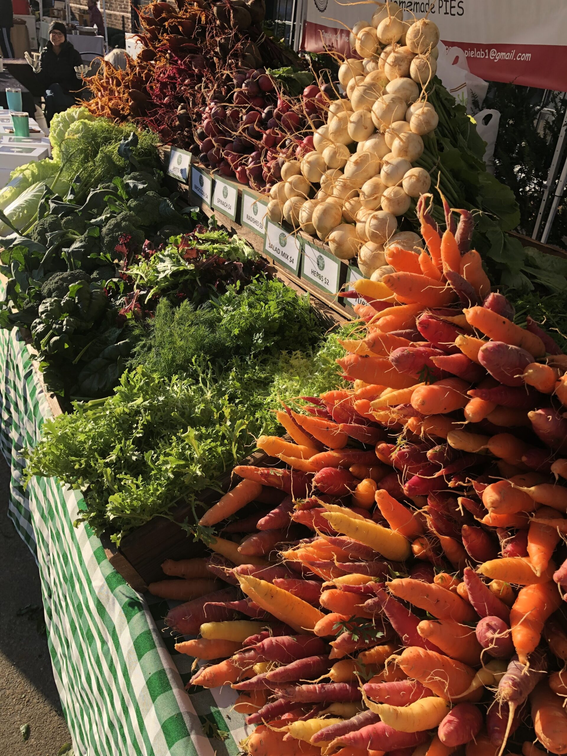 Scott++Ireland++-+BC8E6864-D420-480F-BA87-8237E0DE9896 Colorful assortment of fresh vegetables at a farmers market, featuring vibrant carrots, beets, turnips, and leafy greens displayed on a checkered tablecloth.